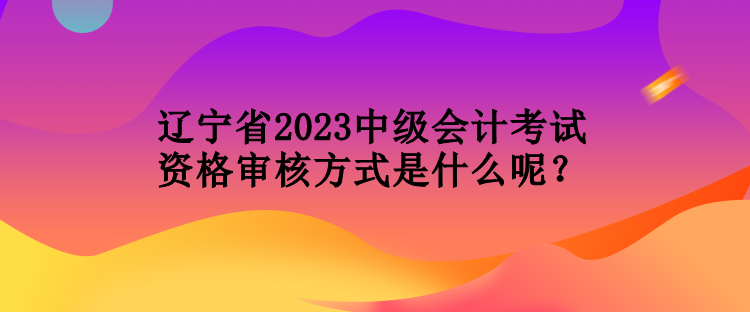 遼寧省2023中級(jí)會(huì)計(jì)考試資格審核方式是什么呢？