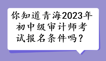 你知道青海2023年初中級審計(jì)師考試報(bào)名條件嗎？