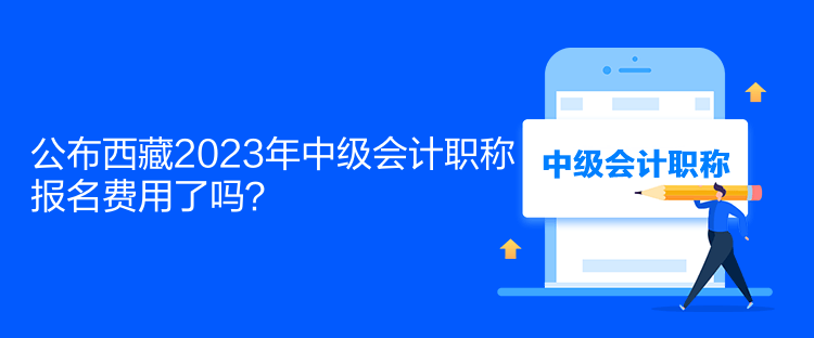 公布西藏2023年中級(jí)會(huì)計(jì)職稱報(bào)名費(fèi)用了嗎？