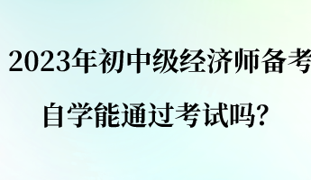 2023年初中級經(jīng)濟師備考 自學能通過考試嗎？