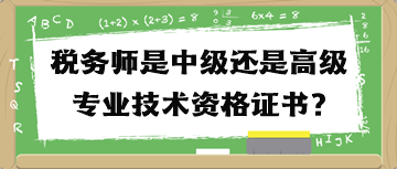 稅務(wù)師是中級(jí)還是高級(jí)專業(yè)技術(shù)資格證書