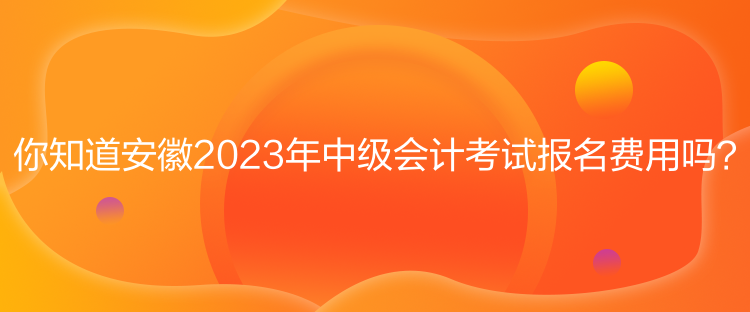 你知道安徽2023年中級會計考試報名費用嗎？