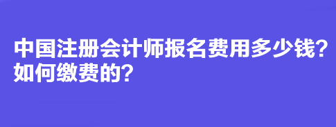 中國注冊會計師報名費用多少錢？如何繳費的？