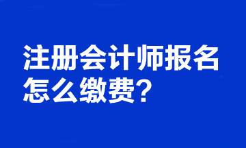 注冊會計師報名怎么繳費？