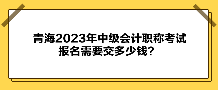 青海2023年中級(jí)會(huì)計(jì)職稱考試報(bào)名需要交多少錢？