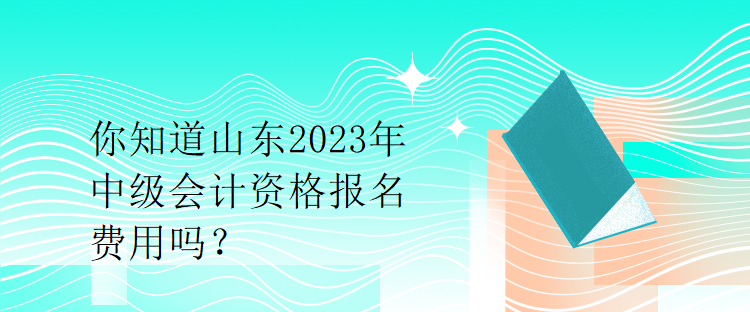 你知道山東2023年中級會計資格報名費用嗎？