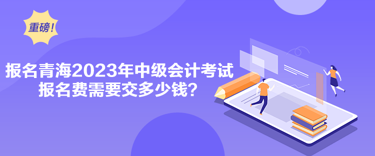 報(bào)名青海2023年中級(jí)會(huì)計(jì)考試報(bào)名費(fèi)需要交多少錢？