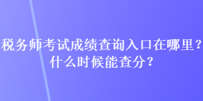 稅務(wù)師考試成績(jī)查詢?nèi)肟谠谀睦铮渴裁磿r(shí)候能查分？