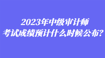 2023年中級(jí)審計(jì)師考試成績(jī)預(yù)計(jì)什么時(shí)候公布？