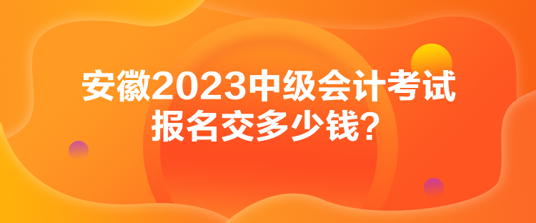 安徽2023中級會計考試報名交多少錢？