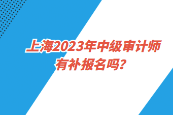 上海2023年中級審計(jì)師有補(bǔ)報(bào)名嗎？