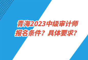 青海2023中級(jí)審計(jì)師報(bào)名條件？具體要求？