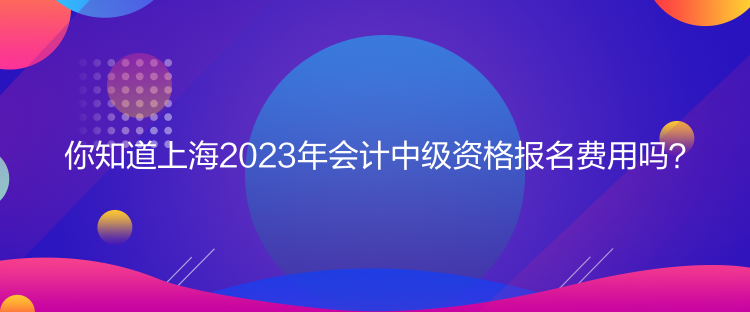 你知道上海2023年會計中級資格報名費用嗎？