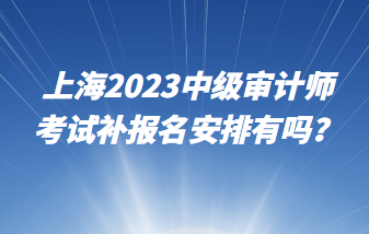 上海2023中級(jí)審計(jì)師考試補(bǔ)報(bào)名安排有嗎？