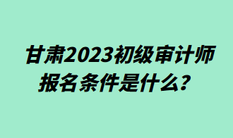 甘肅2023初級審計師報名條件是什么？