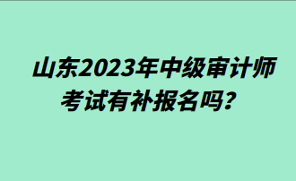 山東2023年中級審計師考試有補報名嗎？