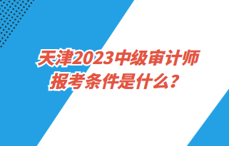 天津2023中級審計(jì)師報(bào)考條件是什么？