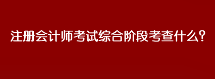 注冊(cè)會(huì)計(jì)師考試綜合階段考查什么？