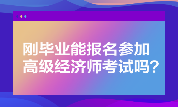 剛畢業(yè)能報名參加高級經濟師考試嗎？