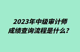 2023年中級審計師成績查詢流程是什么？