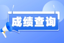 國際注冊內(nèi)部審計師成績在哪查詢？