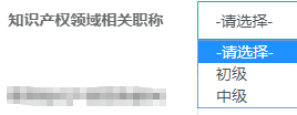 知識(shí)產(chǎn)權(quán)領(lǐng)域相關(guān)職稱(chēng)