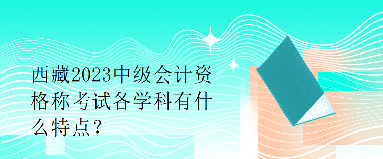 西藏2023中級會計資格稱考試各學科有什么特點？