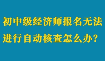 初中級經(jīng)濟師報名無法進行自動核查怎么辦？