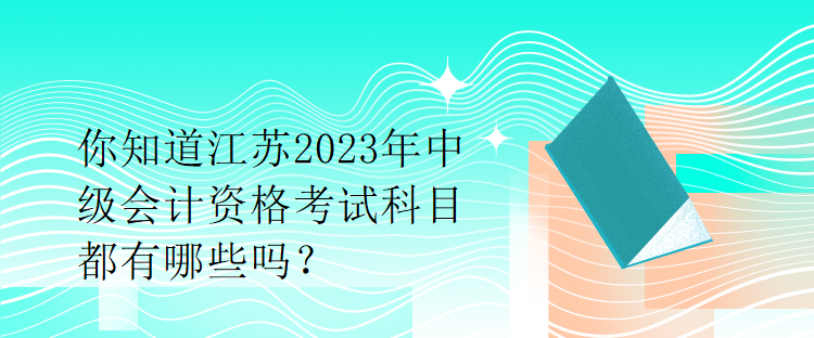 你知道江蘇2023年中級(jí)會(huì)計(jì)資格考試科目都有哪些嗎？