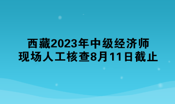 西藏2023年中級經(jīng)濟(jì)師現(xiàn)場人工核查8月11日截止 抓緊！