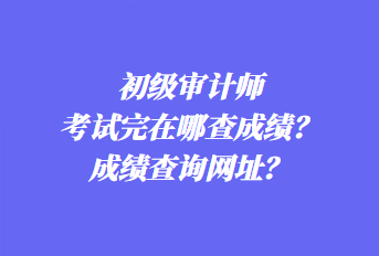 初級(jí)審計(jì)師考試完在哪查成績(jī)？成績(jī)查詢網(wǎng)址？