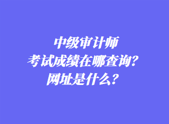 中級(jí)審計(jì)師考試成績(jī)?cè)谀牟樵?？網(wǎng)址是什么？