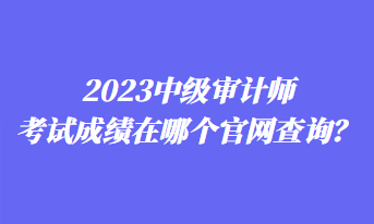 2023中級審計(jì)師考試成績在哪個(gè)官網(wǎng)查詢？