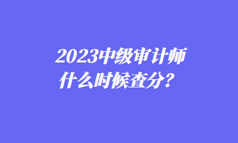 2023中級審計(jì)師什么時候查分？