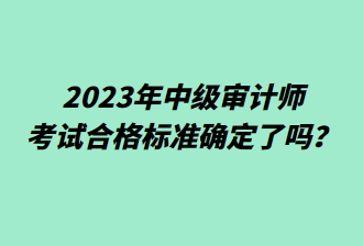 2023年中級審計師考試合格標(biāo)準(zhǔn)確定了嗎？