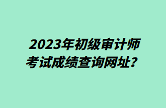 2023年初級(jí)審計(jì)師考試成績(jī)查詢(xún)網(wǎng)址？