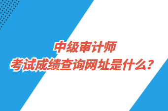 中級(jí)審計(jì)師考試成績查詢網(wǎng)址是什么？