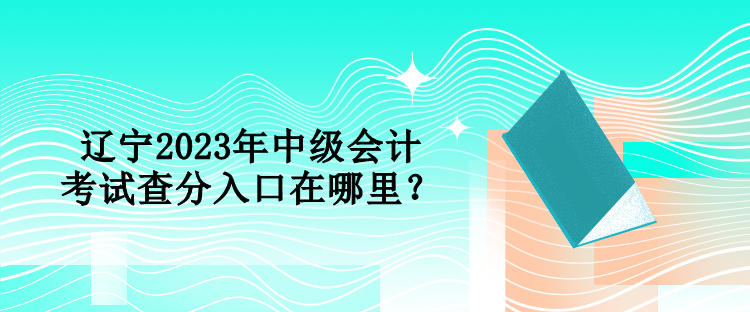 遼寧2023年中級(jí)會(huì)計(jì)考試查分入口在哪里？