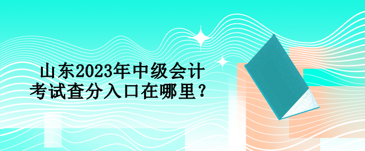 山東2023年中級會計考試查分入口在哪里？