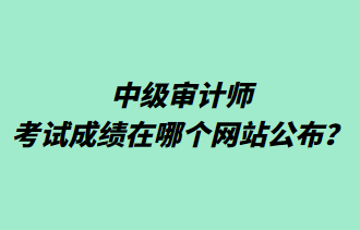 中級審計師考試成績在哪個網(wǎng)站公布？