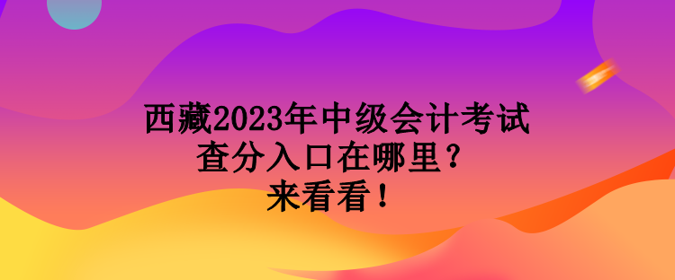 西藏2023年中級會計考試查分入口在哪里？來看看！