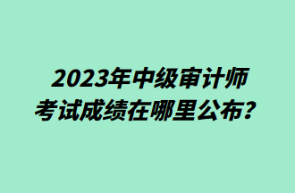 2023年中級審計師考試成績在哪里公布？