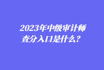 2023年中級審計師查分入口是什么？