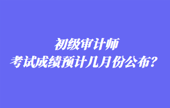 初級(jí)審計(jì)師考試成績(jī)預(yù)計(jì)幾月份公布？