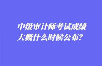 中級(jí)審計(jì)師考試成績(jī)大概什么時(shí)候公布？