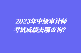 2023年中級(jí)審計(jì)師考試成績(jī)?nèi)ツ牟樵?xún)？