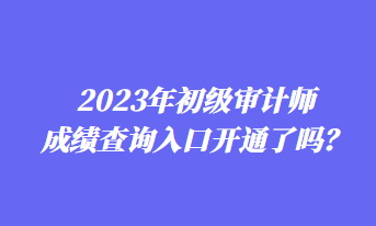 2023年初級(jí)審計(jì)師成績(jī)查詢?nèi)肟陂_通了嗎？