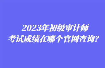 2023年初級(jí)審計(jì)師考試成績?cè)谀膫€(gè)官網(wǎng)查詢？