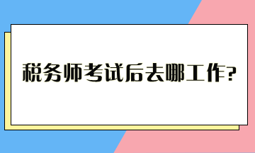 稅務(wù)師考試后去哪工作？