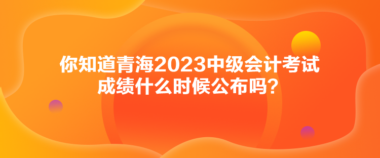 你知道青海2023中級(jí)會(huì)計(jì)考試成績什么時(shí)候公布嗎？